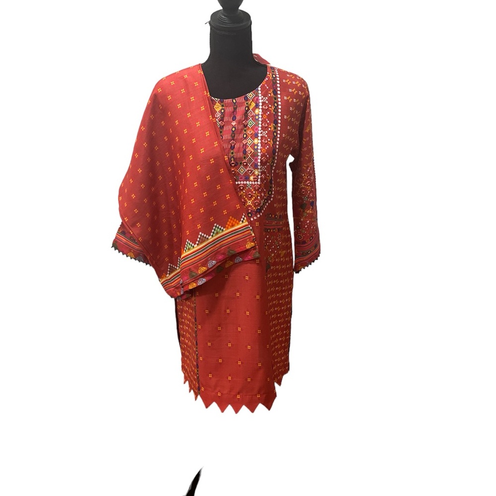Pakistani Indian summer suit